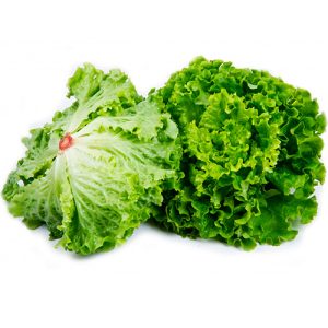 LECHUGA