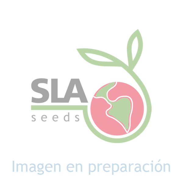 Esperando la imagen de producto